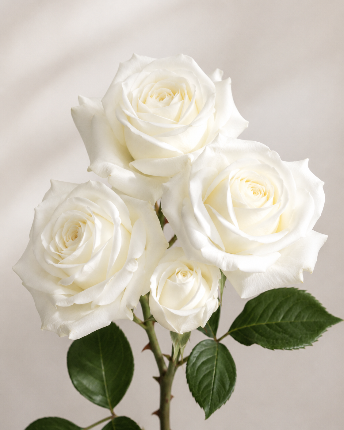 Calm White