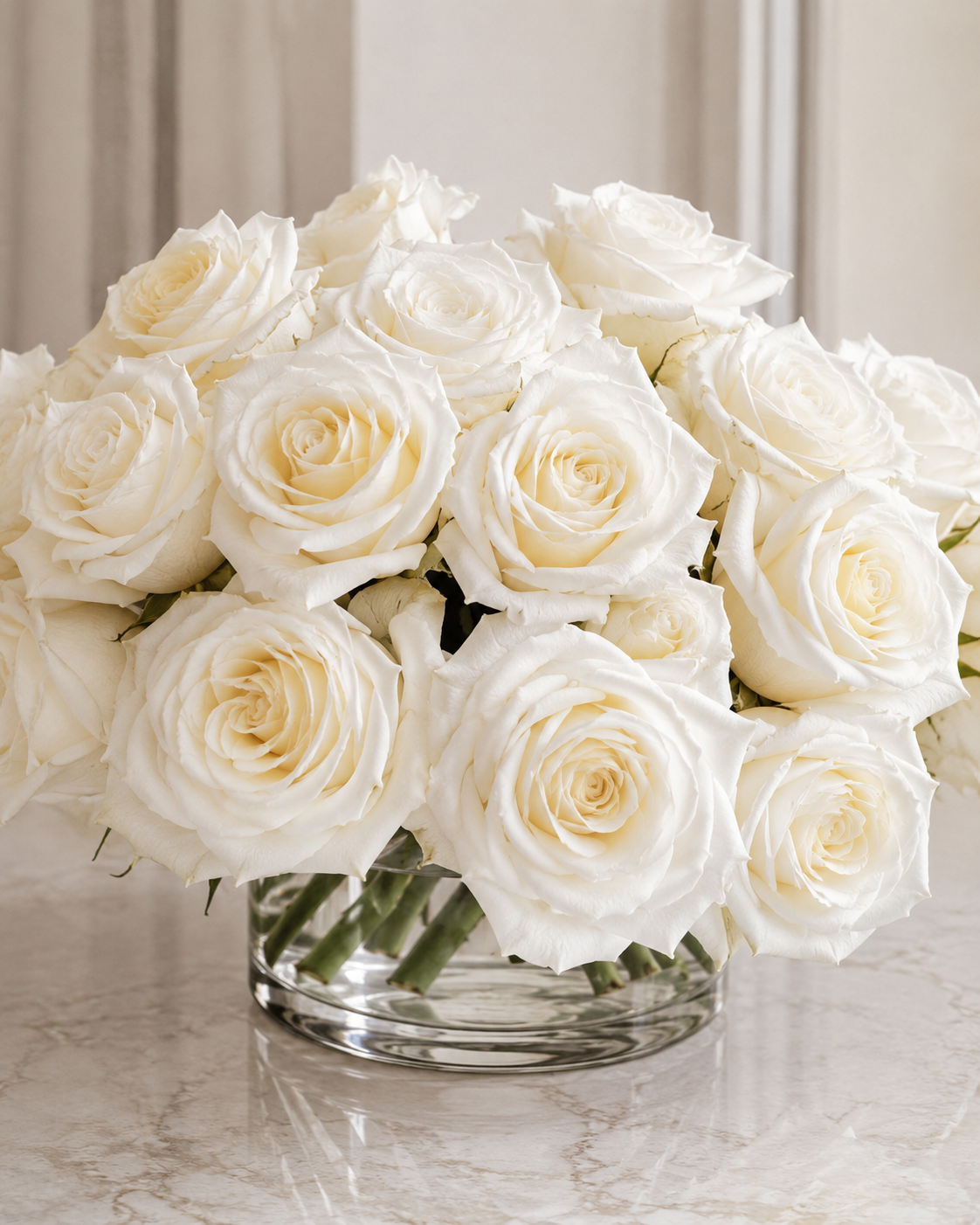 Immaculate White Roses